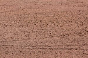 Excavation Services in Eau Claire, WI