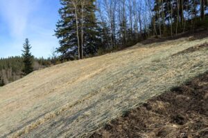 Erosion Control Services in Eau Claire, WI