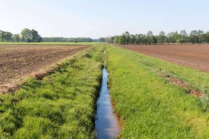 Field Drainage Services in Eau Claire, WI