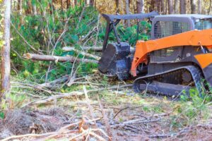 Forestry Land Clearing Services in Eau Claire WI
