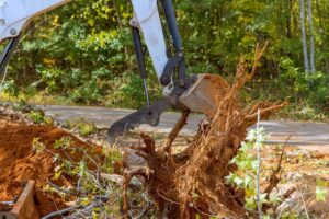 Stump Removal Services in Eau Claire WI