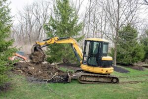 Tree Removal Services in Eau Claire WI