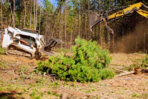 Site Excavation Services in Eau Claire, WI